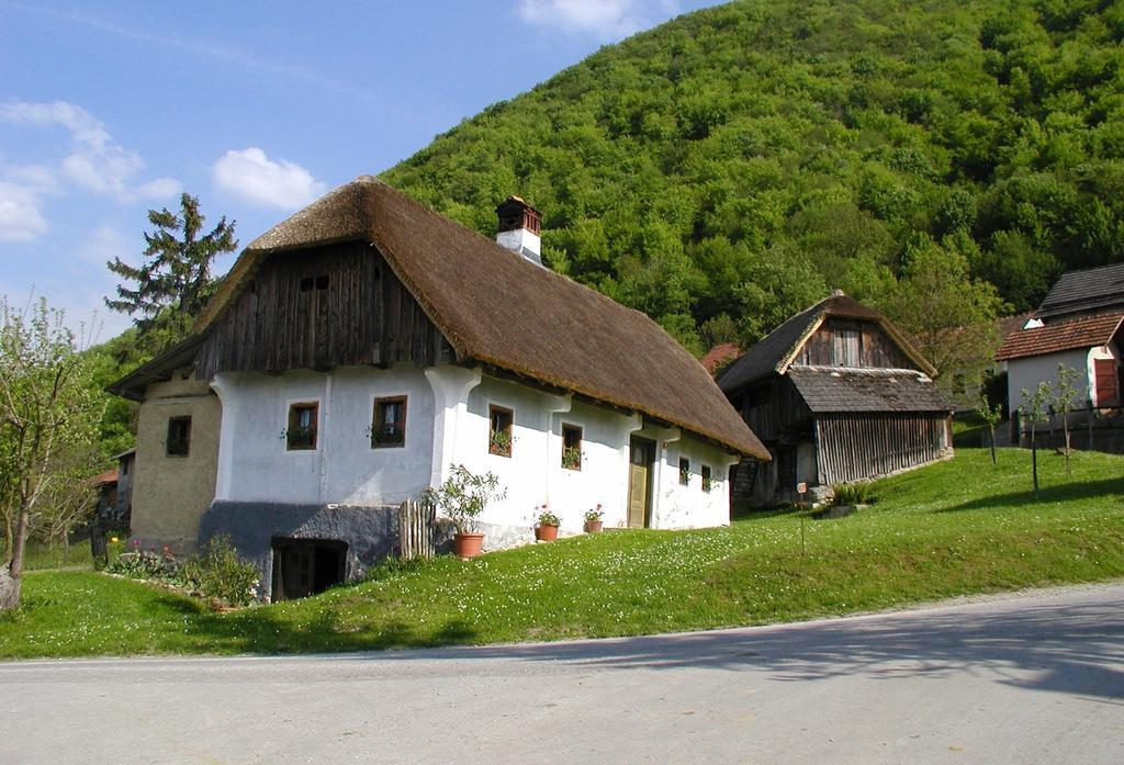 Farm Stay Kramer Bistrica ob Sotli 外观 照片